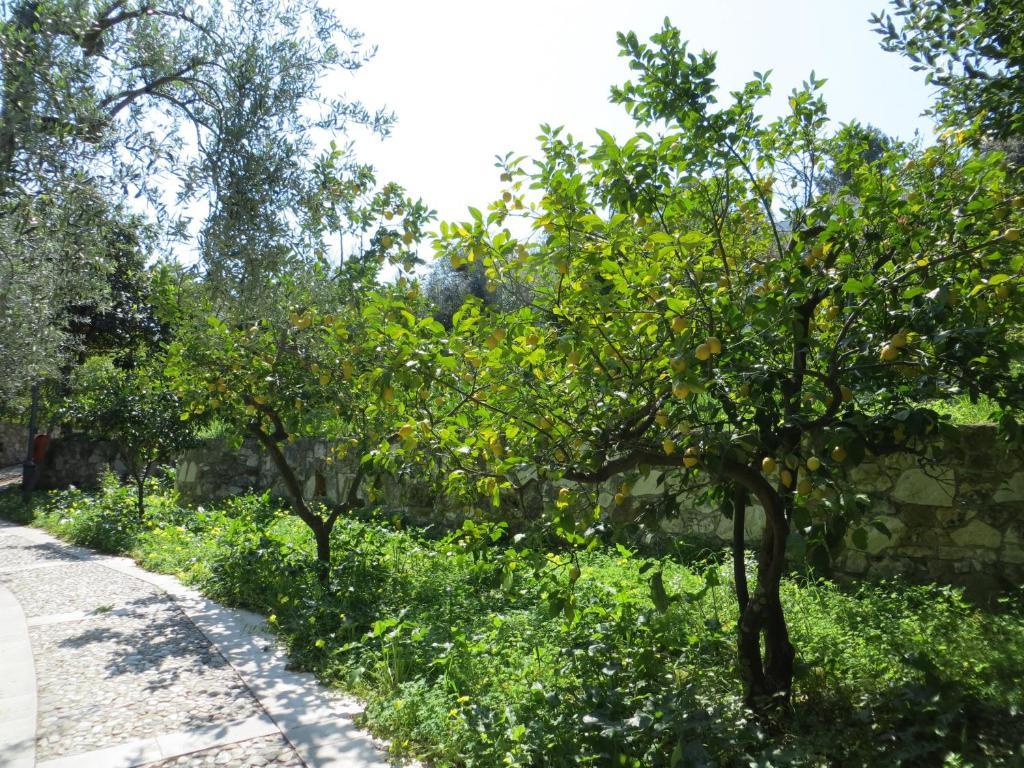 Villaggio Hotel Ripa Rodi Garganico Bagian luar foto